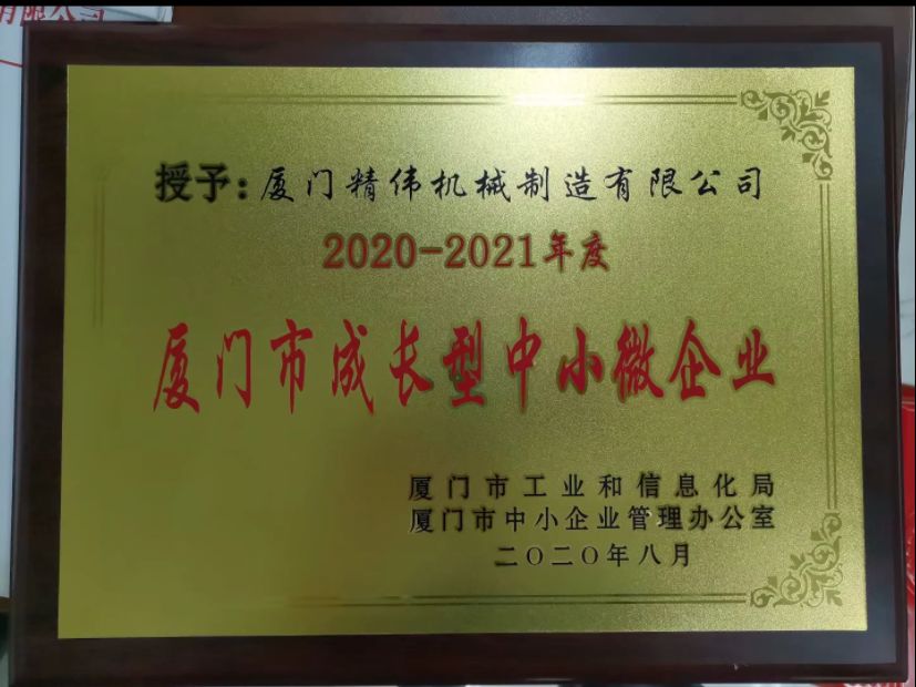 成長型(xing)中小微企業2020-2021